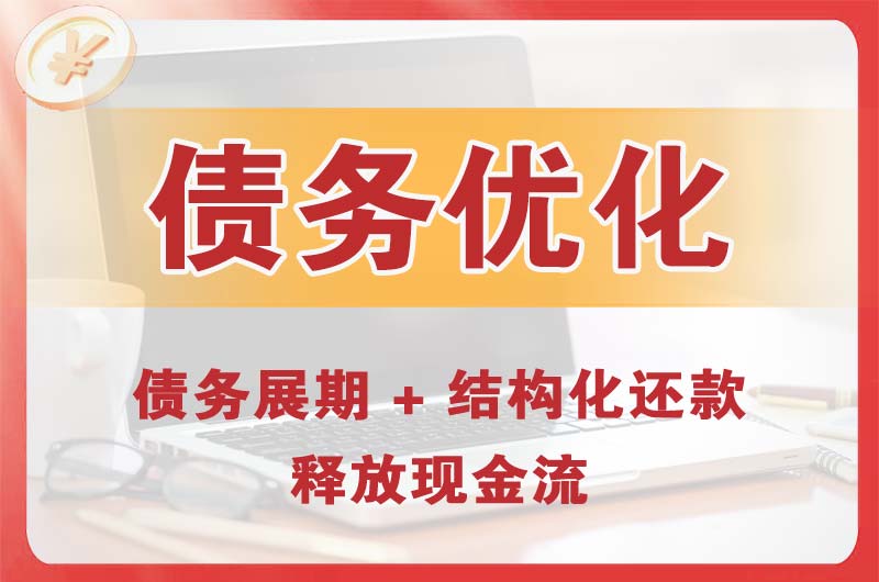 澧县债务优化
