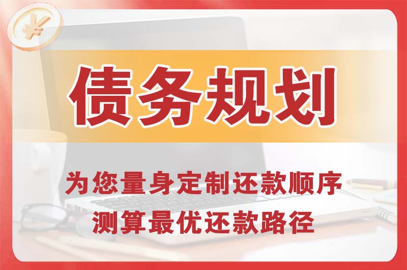 澧县债务规划